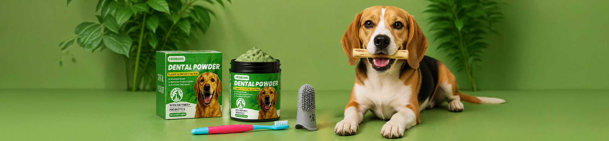A Healthy Smile for Your Pet: Simple Steps to Perfect Oral Hygiene
