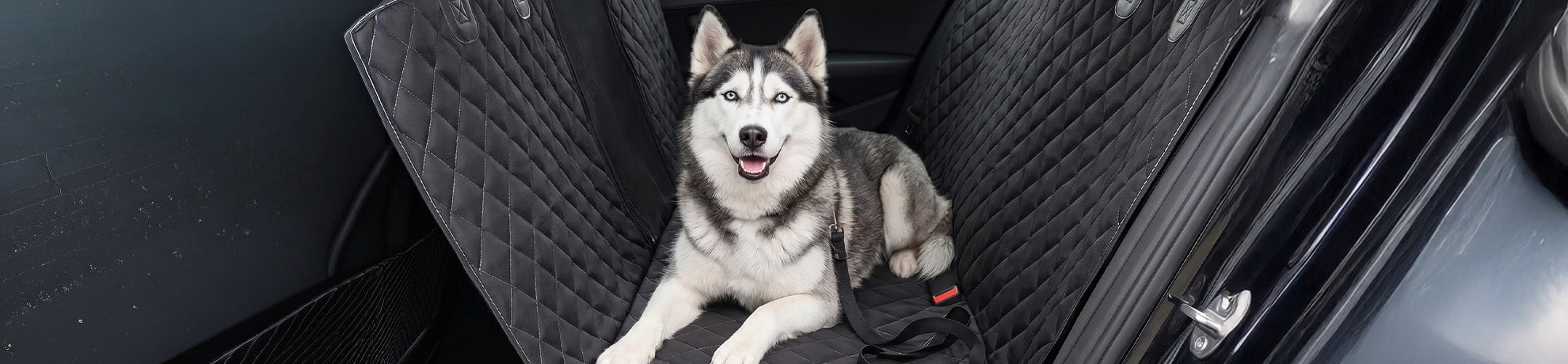 Traveling with Pets Made Easy: Tips for a Stress-Free Trip