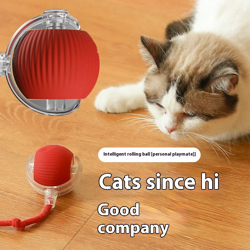 Electric Rolling Ball Toy – Smart Sensor Interactive Cat Toy