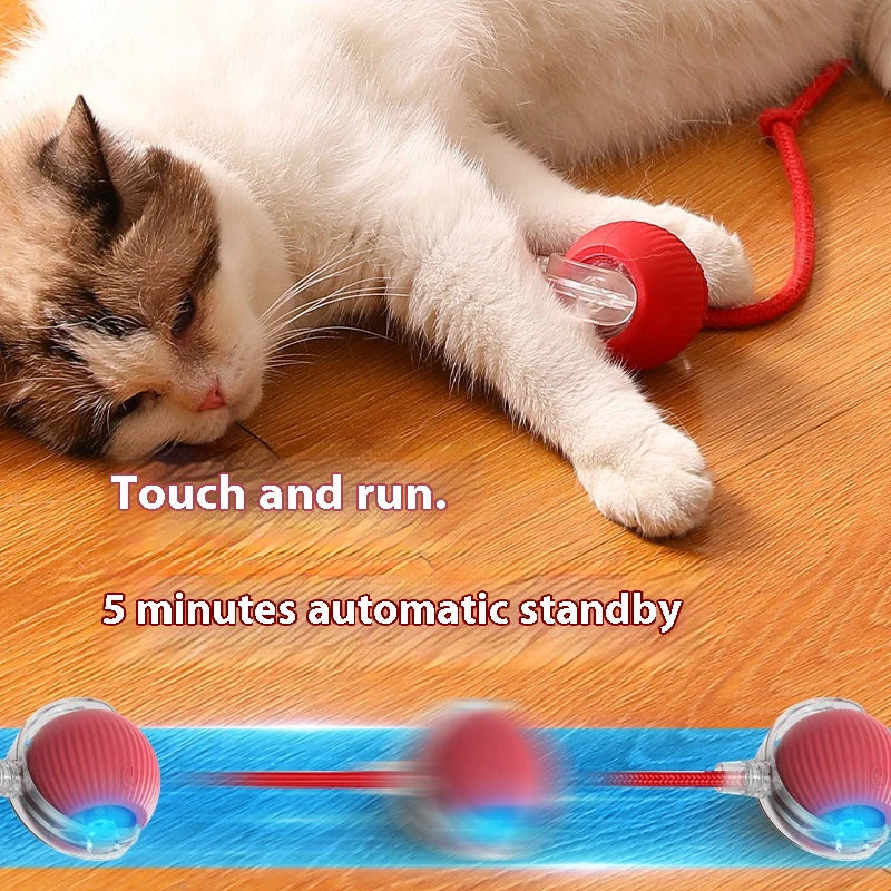 Electric Rolling Ball Toy – Smart Sensor Interactive Cat Toy