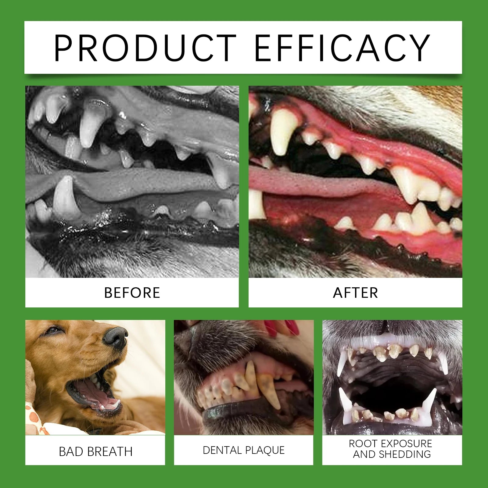 Yegbong 150g Dog Teeth Cleaning Powder - Gentle Dental Care for Pets - Removes Tartar, Stains & Bad Breath - Whitens Teeth