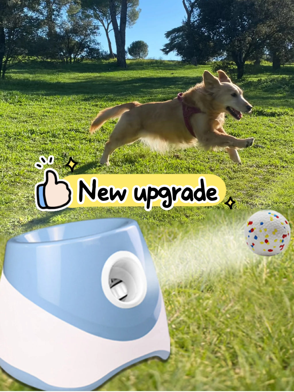 Automatic Dog Ball Launcher – Tennis Throwing Interactive Toy