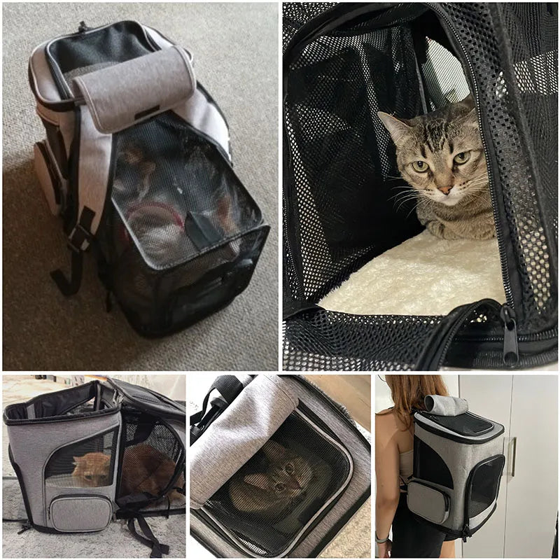 Pet Carrier Backpack – Breathable Expandable Travel Bag
